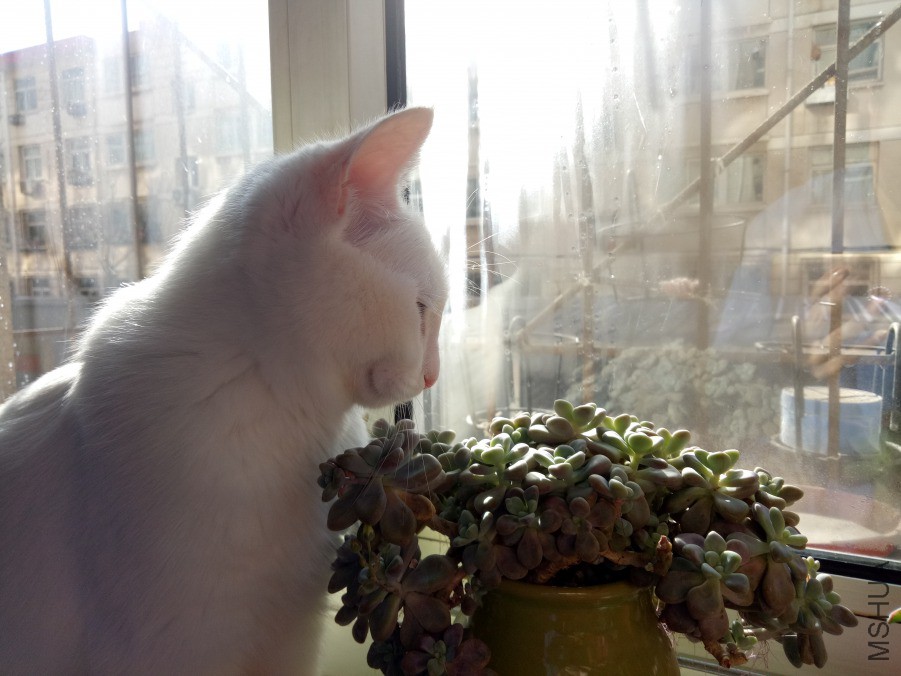 IMG20190217103212.jpg