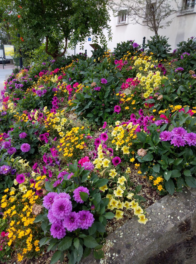 P80724-161453.jpg