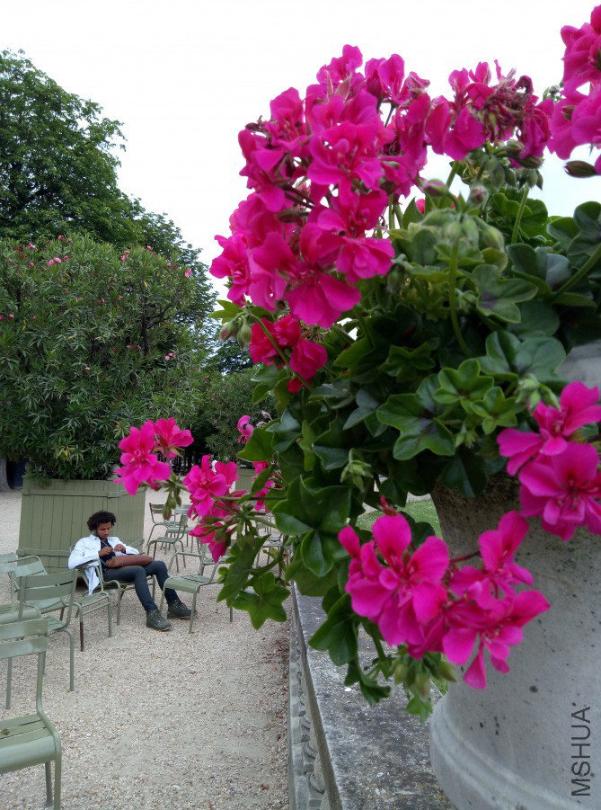 P80619-122415.jpg