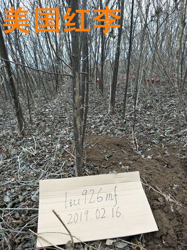 ��������_����.jpg