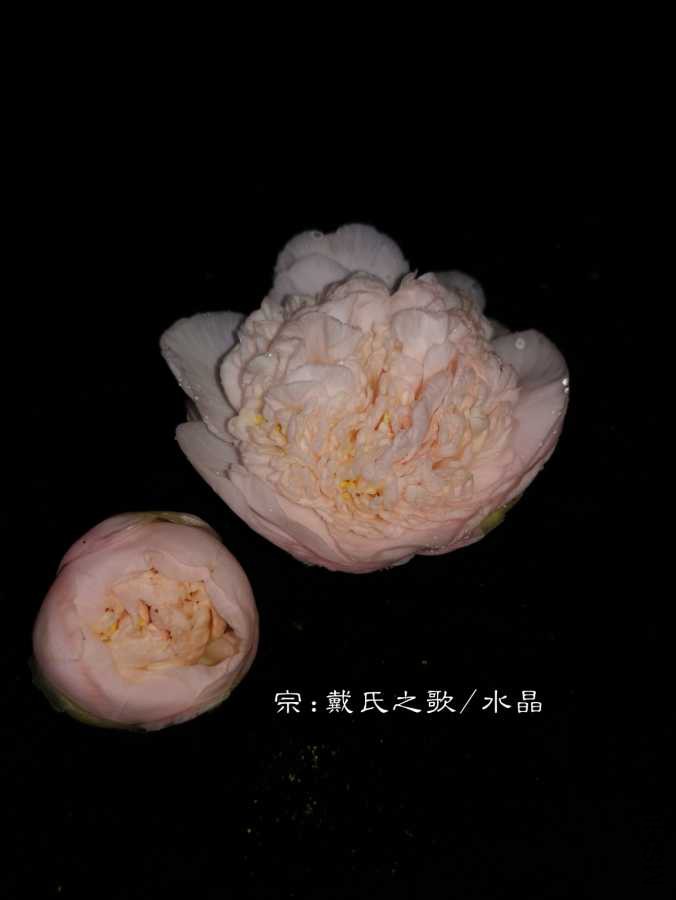 a1550723960705.jpg