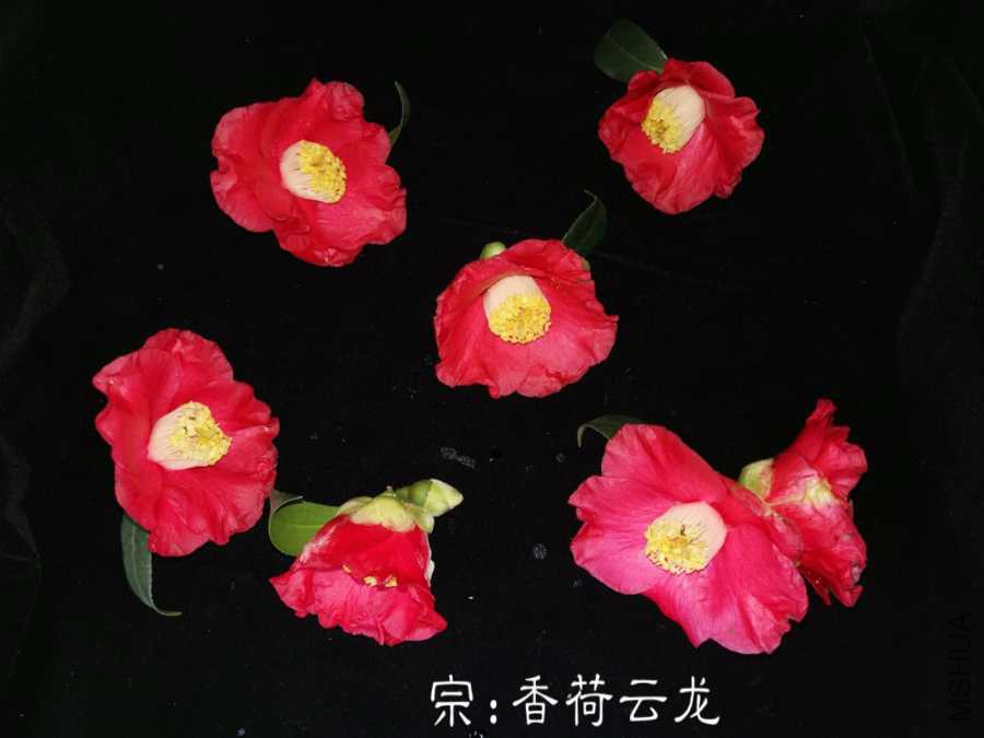 a1550723838909.jpg