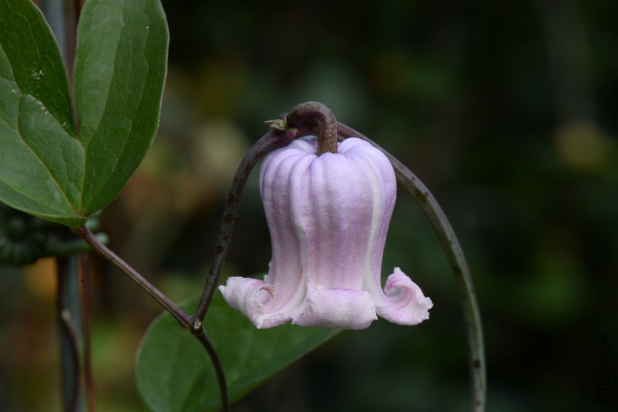 DSC_9151.JPG