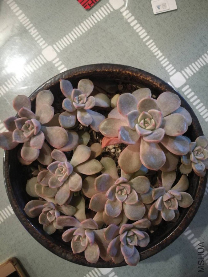 ��ۼ���