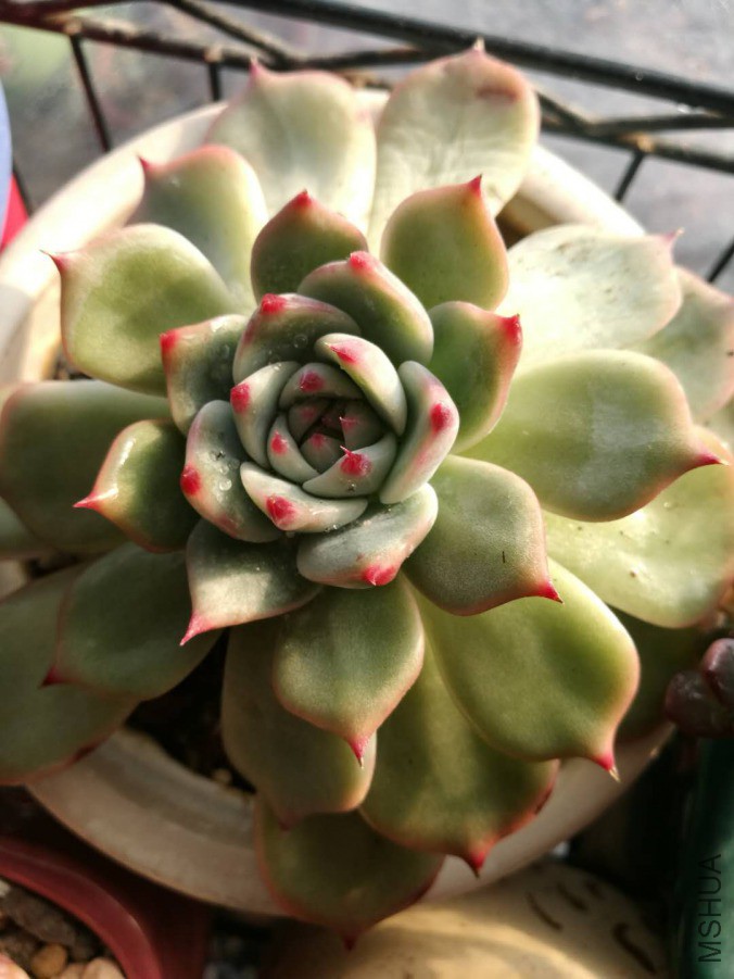 ������