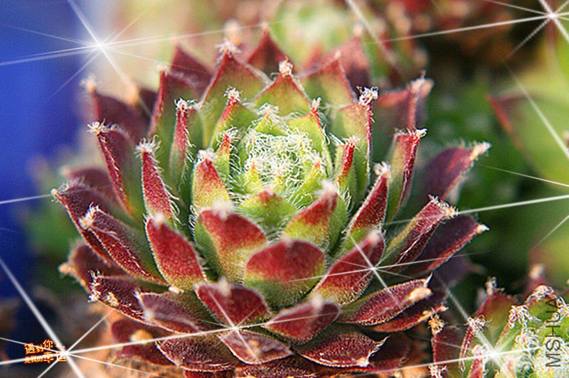 ��Ƭ 274_����_����.jpg