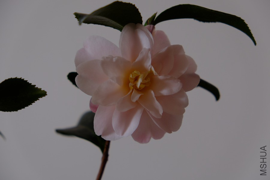 04.JPG
