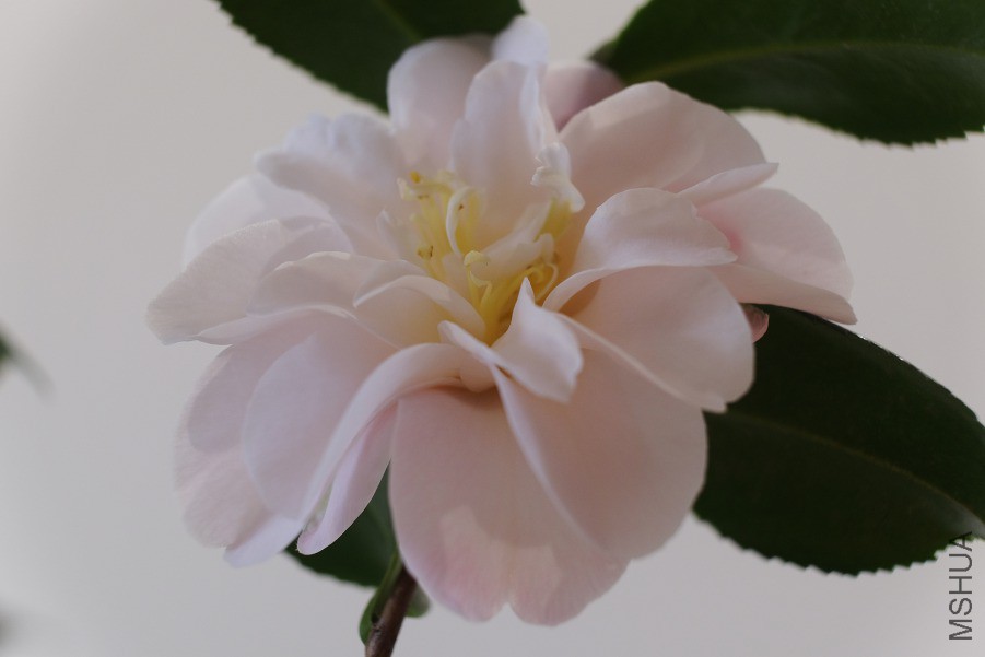 05.JPG