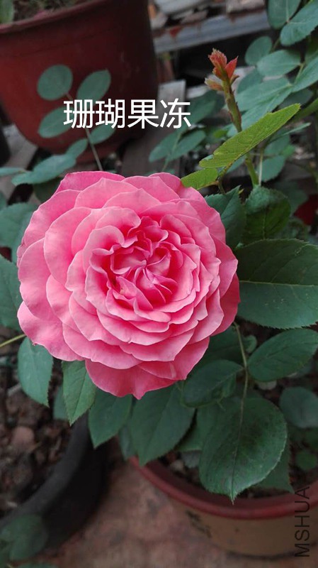 ɺ������5.15_����.jpg