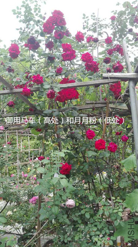 ��������4.29_����.jpg