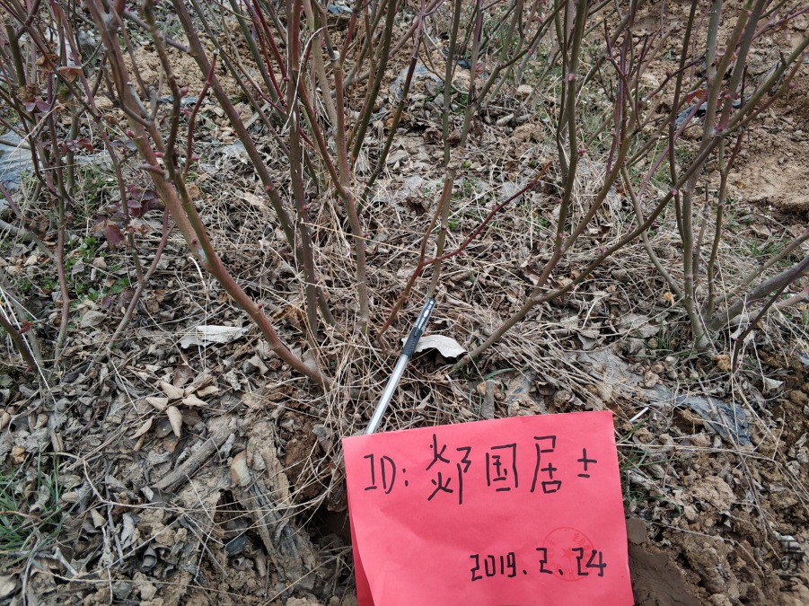 IMG_20190224_151600.jpg