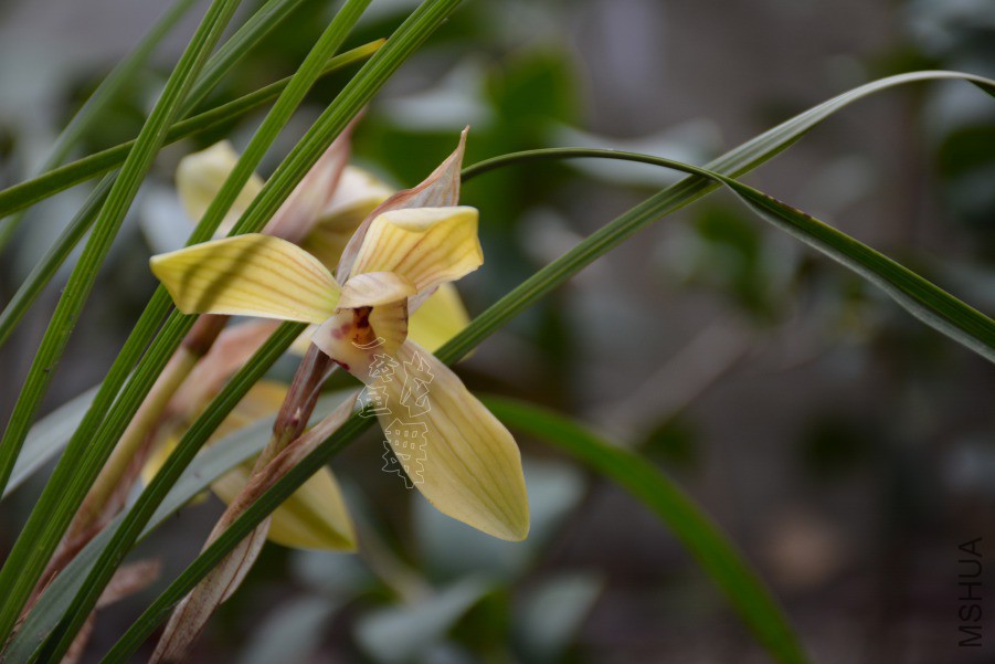 DSC_2412.JPG