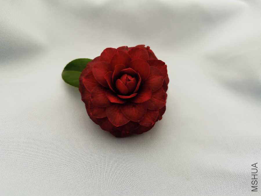 IMG_20190225_093225.jpg
