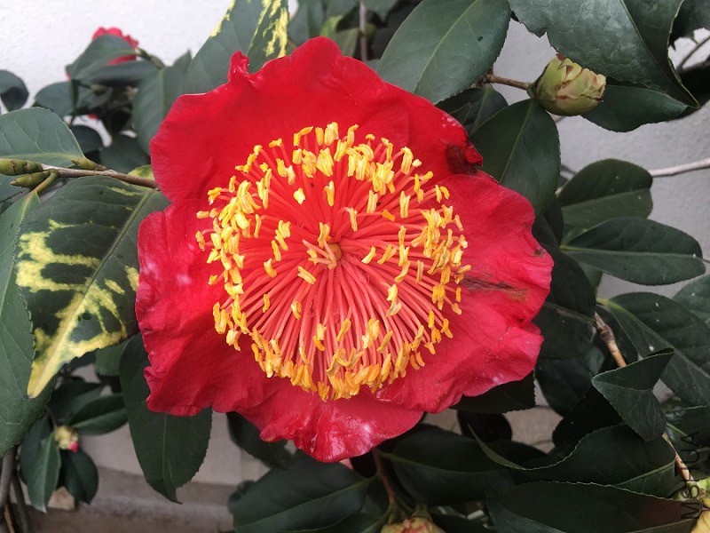20190224 (5).JPG