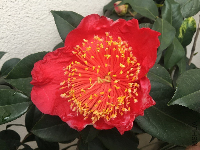 20190224 (4).JPG
