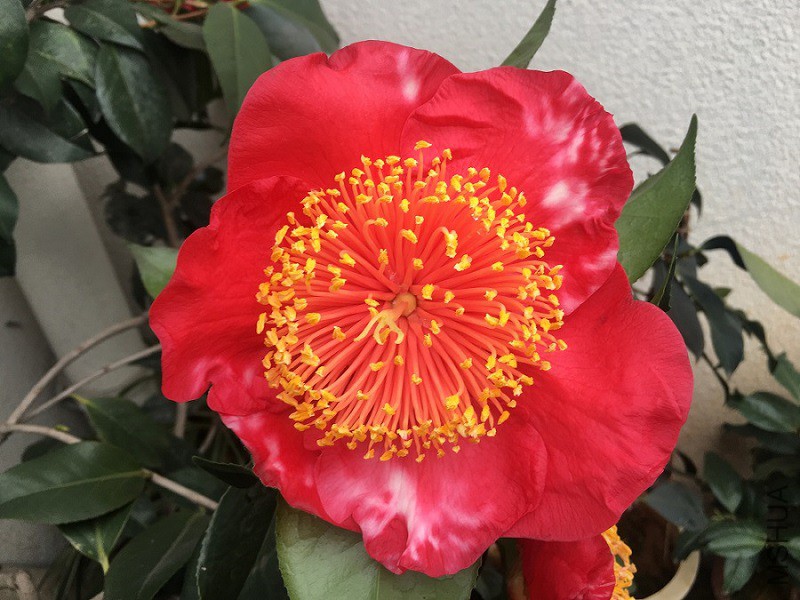 20190224 (3).JPG