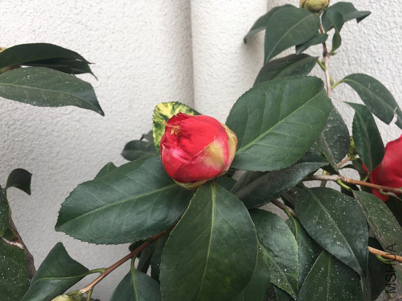 20190224 (2).JPG