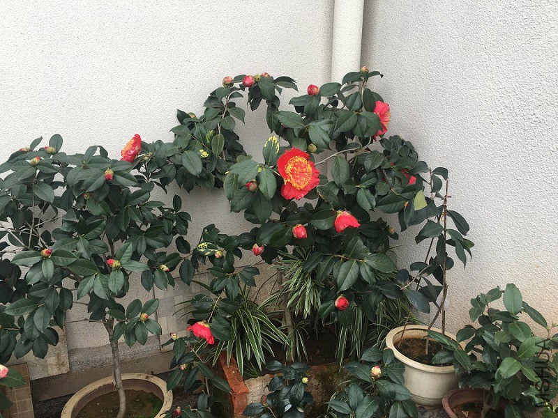 20190224 (1).JPG