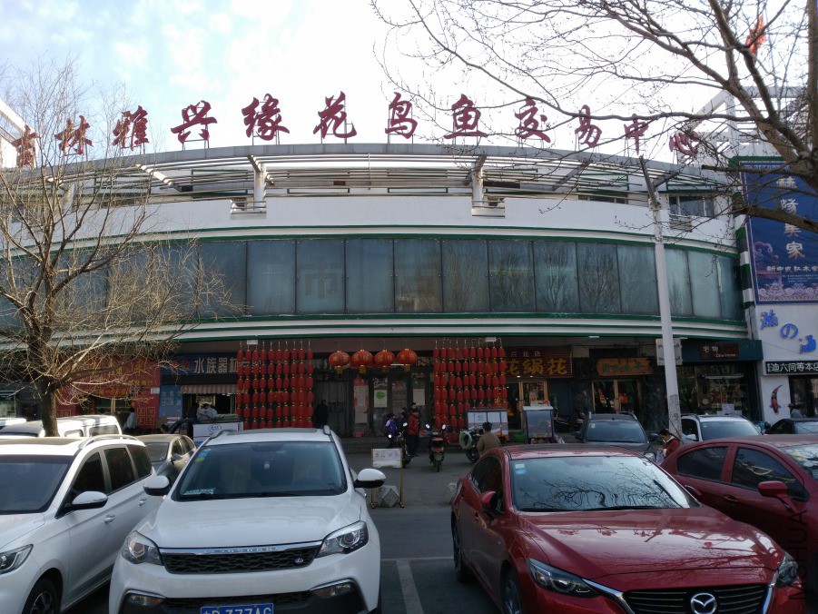 IMG_20190301_101149.jpg
