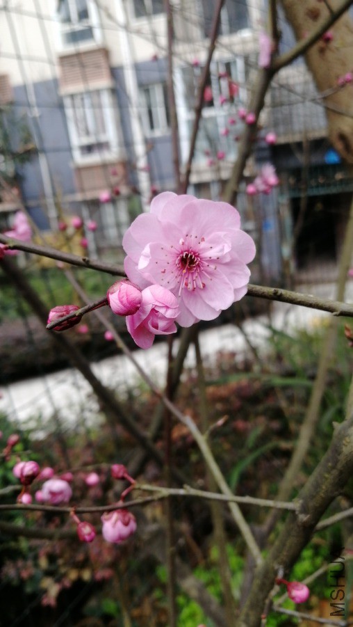IMG20190222131351.jpg