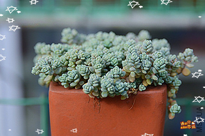 ��Ƭ 179_����_����.jpg