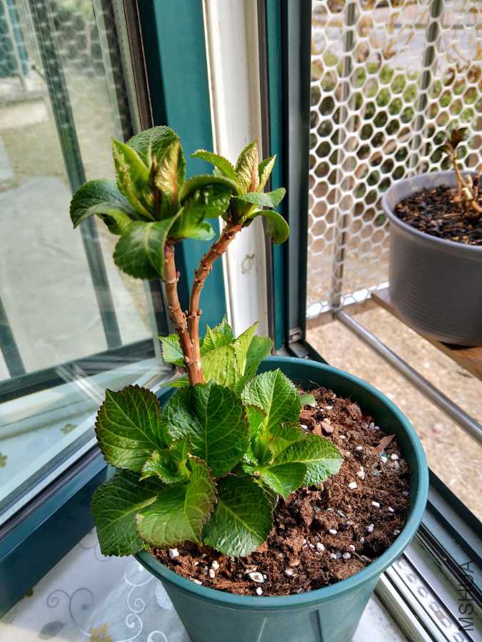 IMG20190303153224.jpg