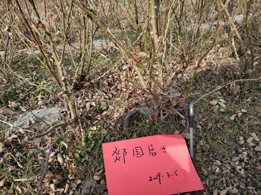 IMG_20190305_154849.jpg