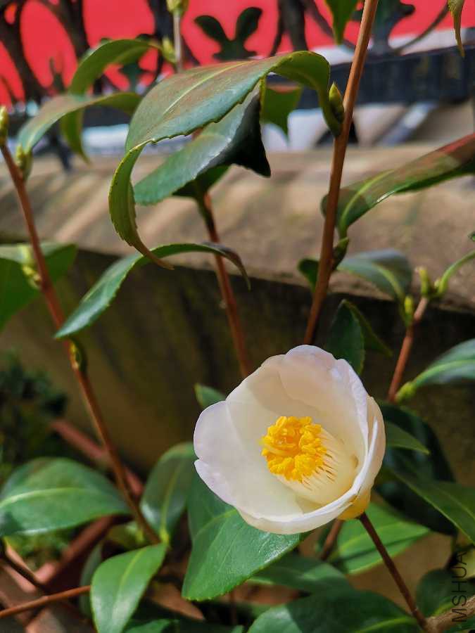 IMG_20190304_113417.jpg