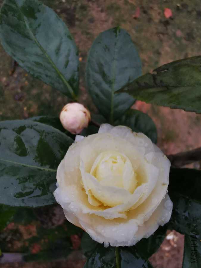 IMG_20190302_174734.jpg