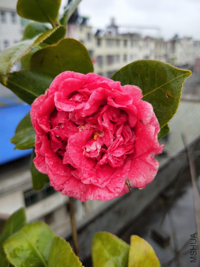 IMG20190305124302.jpg