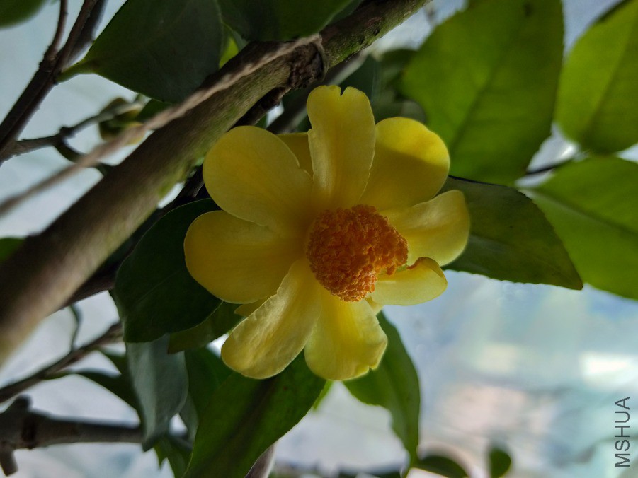 IMG20190306131426.jpg
