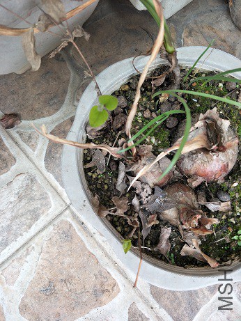 IMG20190307165519.jpg