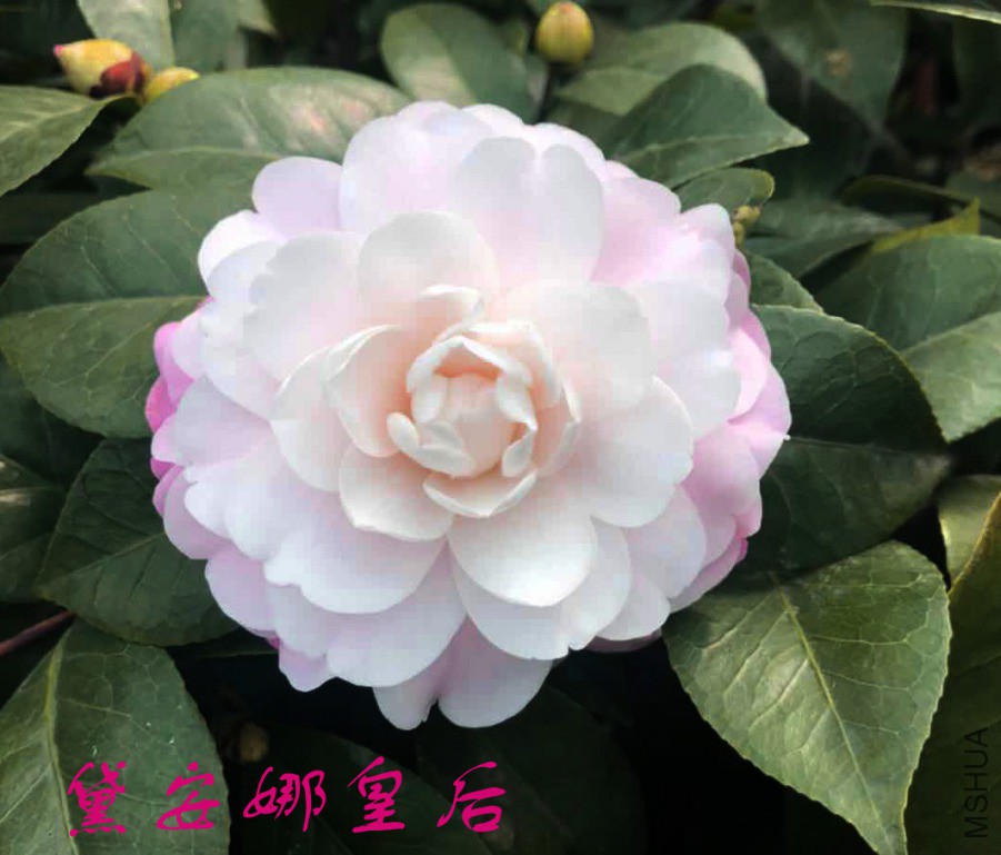 20190307174508 ����.jpg