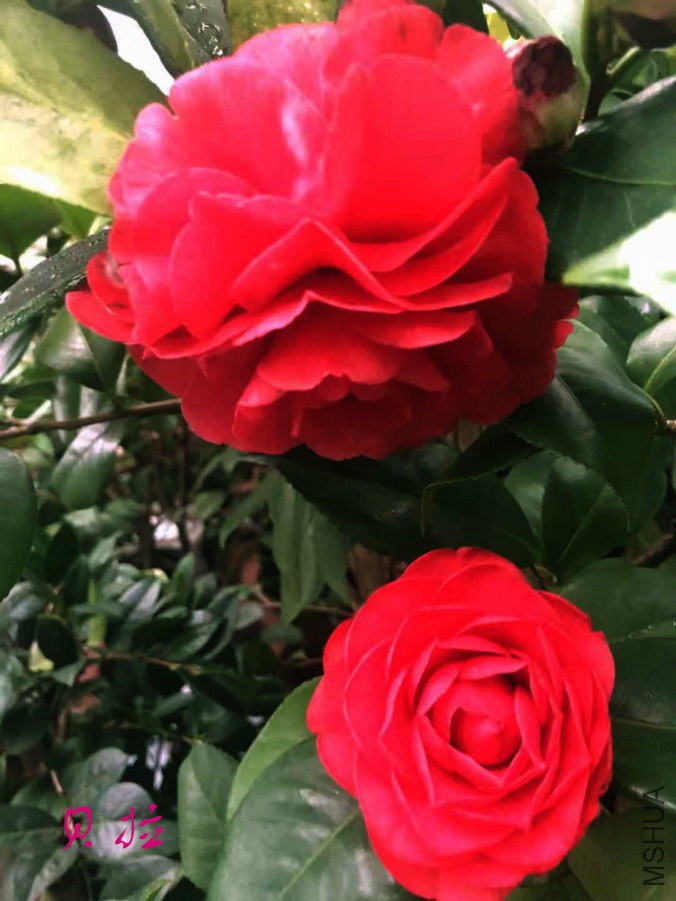 20190307174534 ����.jpg