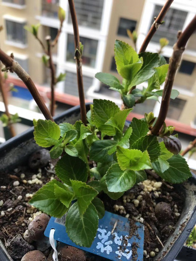 ΢��ͼƬ_20190308090512.jpg