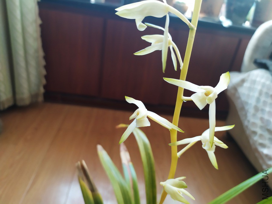 IMG_20190308_091120.jpg