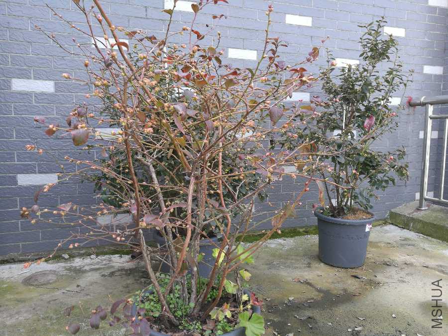 1552014149131.jpg