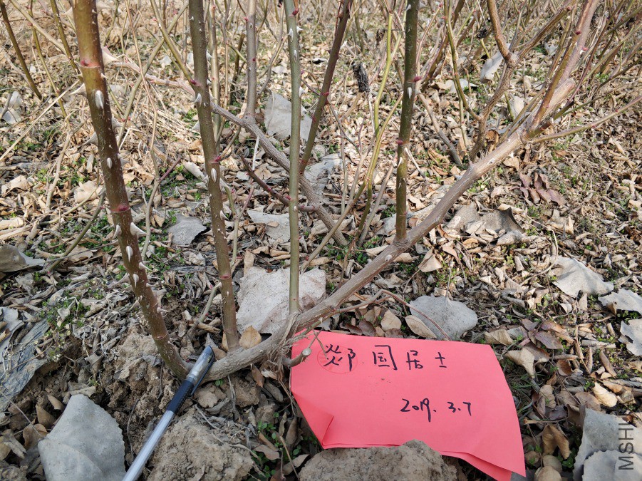 IMG_20190305_155138.jpg