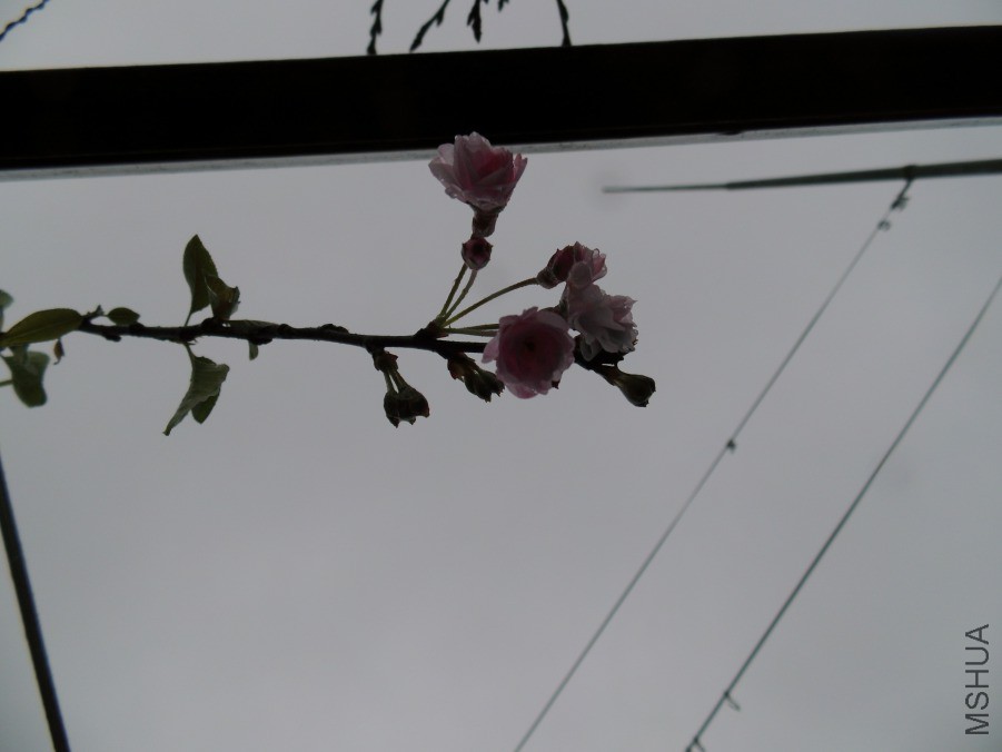 DSCI5474.JPG