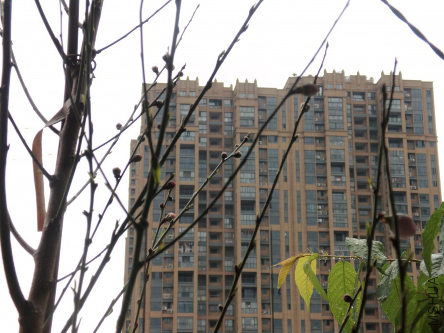 DSCI5483.JPG