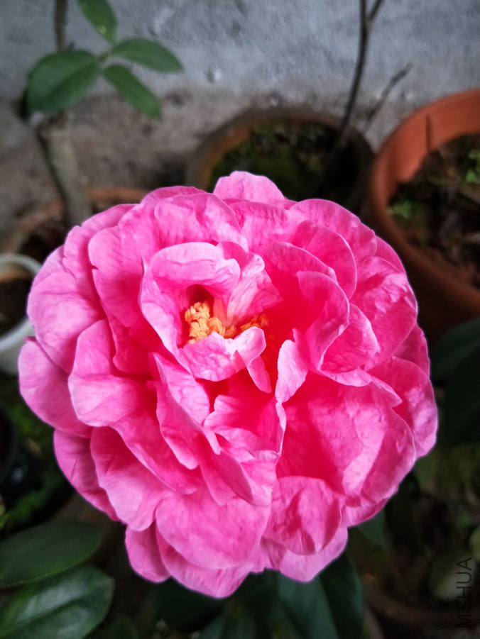 IMG20190309081422.jpg