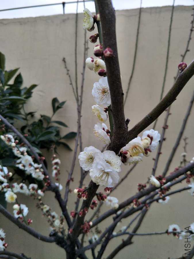 IMG20190304152649.jpg