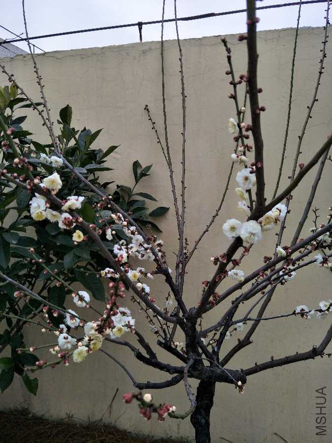 IMG20190304152643.jpg