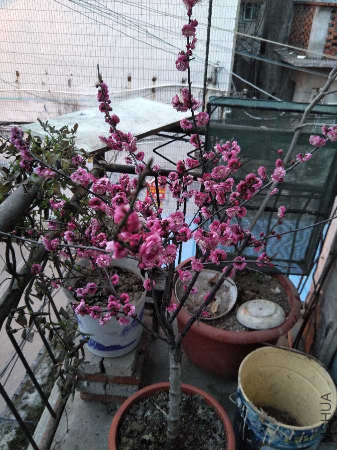 IMG20190309181444.jpg