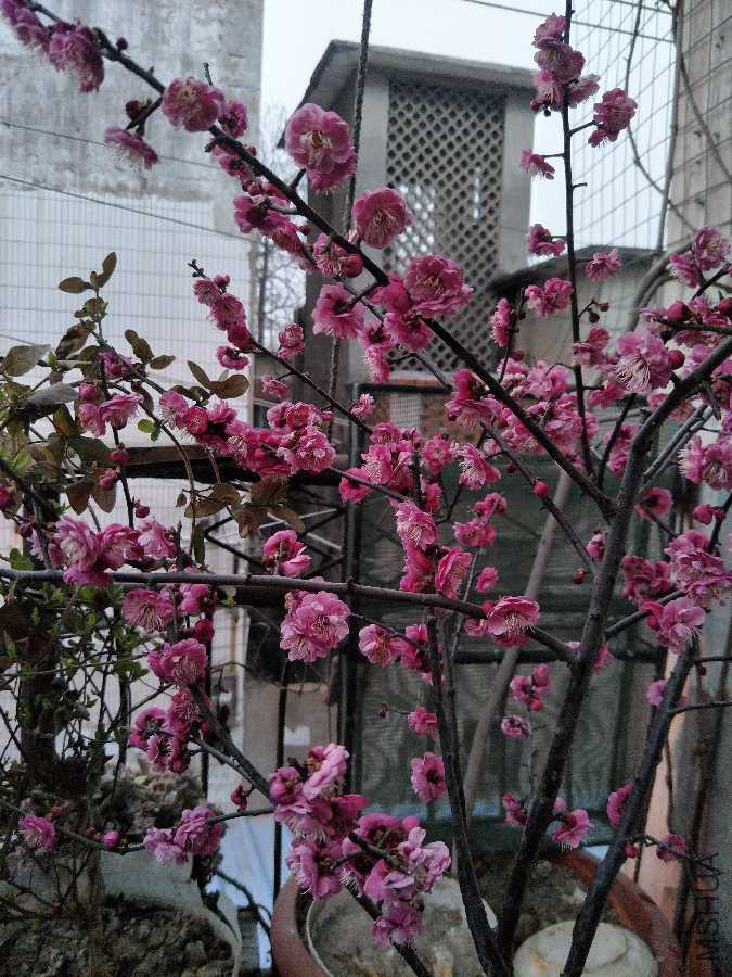 IMG20190309181438.jpg