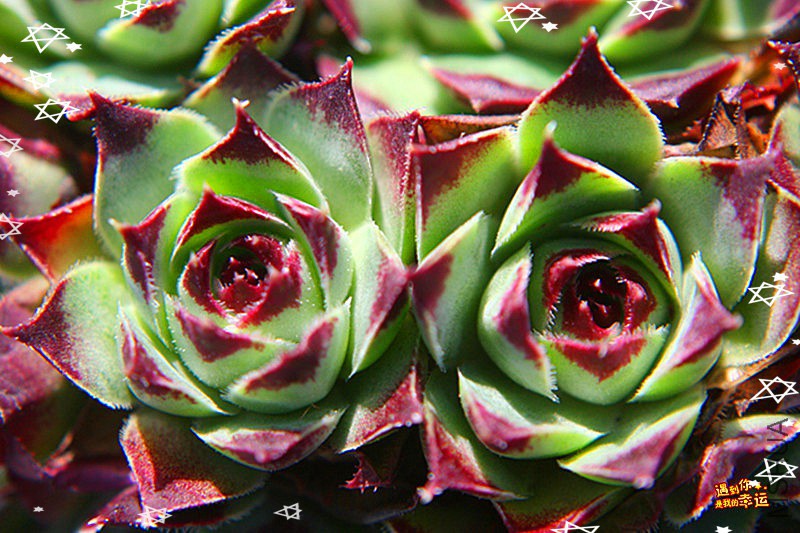 ��Ƭ 103_����_����.jpg