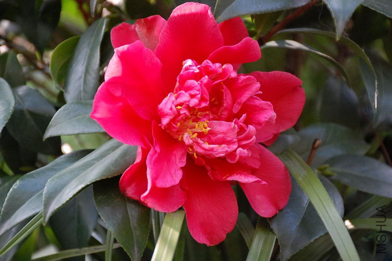 DSC_30230003.JPG
