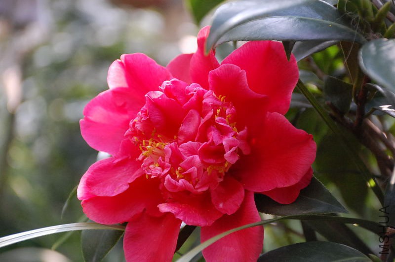 DSC_30260006.JPG