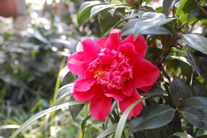 DSC_30440024.JPG