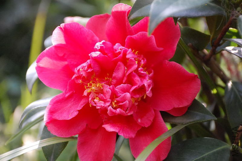 DSC_30350015.JPG